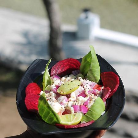 Shivanjal Wellness And Accommodation Rishīkesh Eksteriør billede