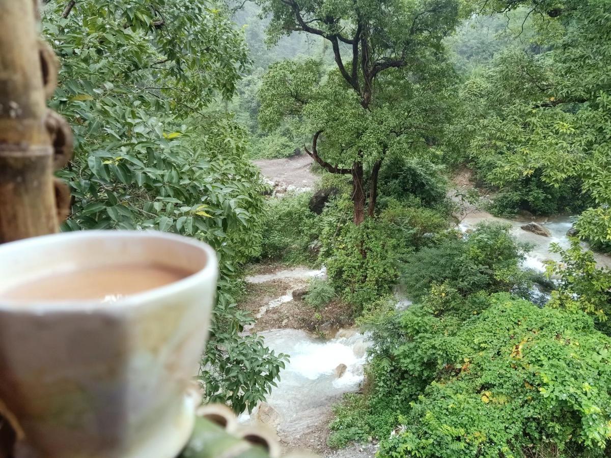 Shivanjal Wellness And Accommodation Rishīkesh Eksteriør billede