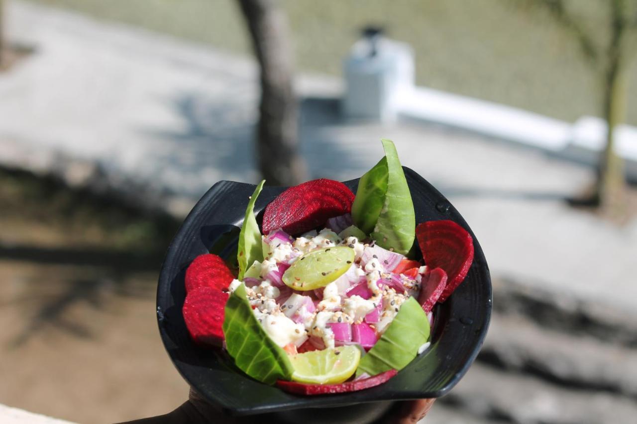 Shivanjal Wellness And Accommodation Rishīkesh Eksteriør billede